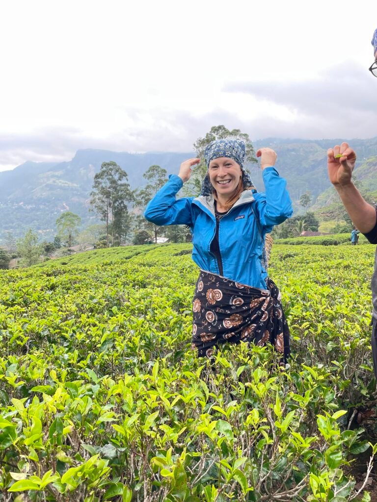 sri lanka tea plantation